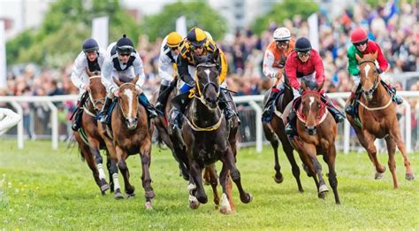 Horseracing GIFs .